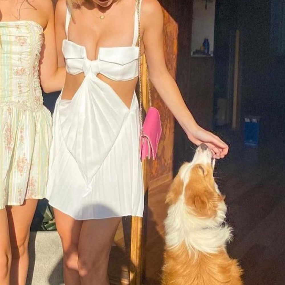 Dion Lee White Dress